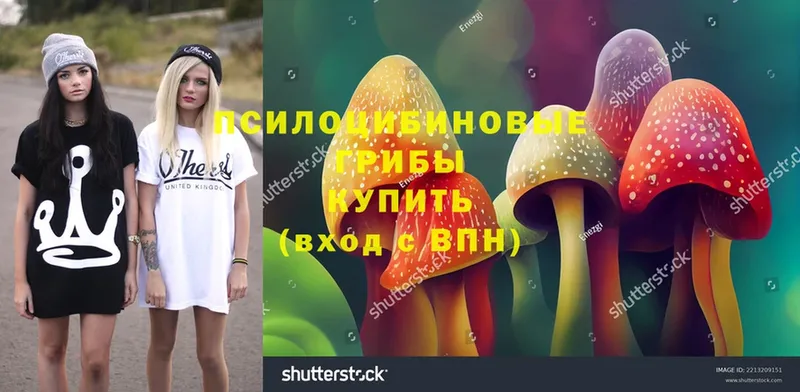 OMG зеркало  Гай  Галлюциногенные грибы Magic Shrooms 